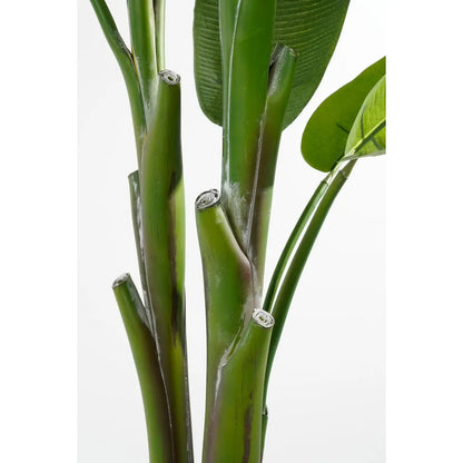 Heliconia Kunstplant - H175 x Ø140 cm - Groen | Perrano Mica Decorations