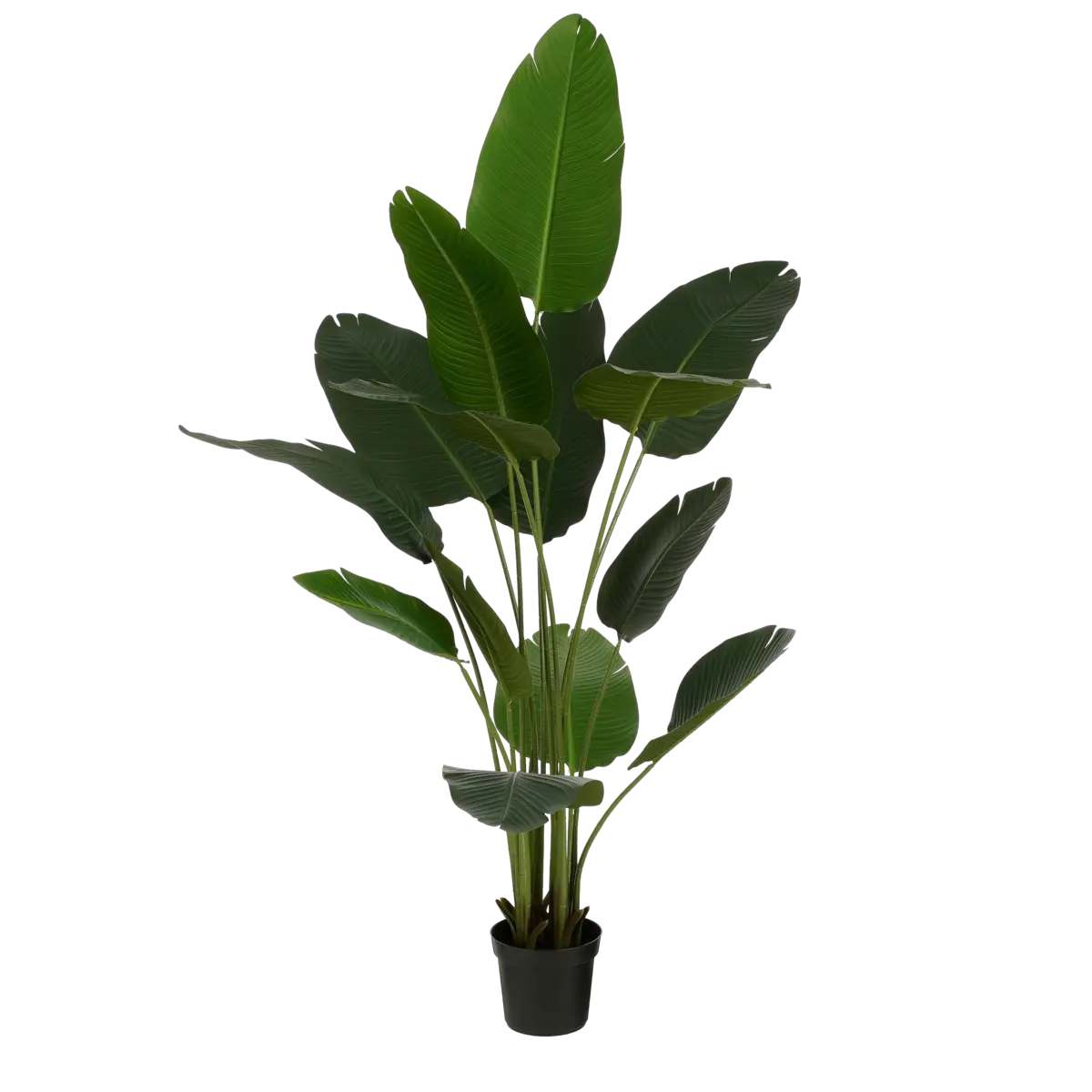 Kunstplant Bananenboom in Pot - H180 x Ø30 cm - Groen | Perrano Mica Decorations