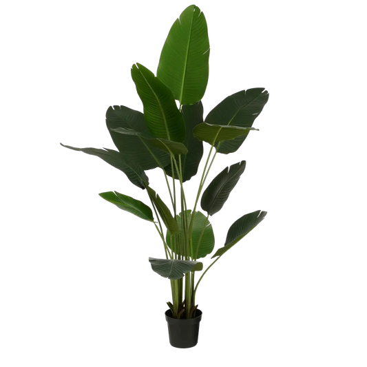 Kunstplant Bananenboom in Pot - H180 x Ø30 cm - Groen | Perrano Mica Decorations