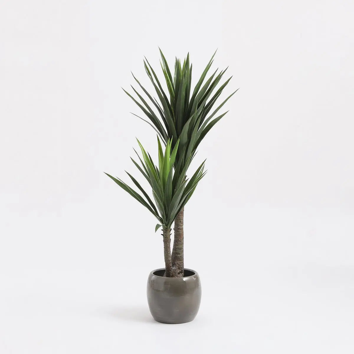 Yucca Kunstplant - H120 x Ø60 cm - Realistische Groene Eyecatcher | Perrano Mica Decorations