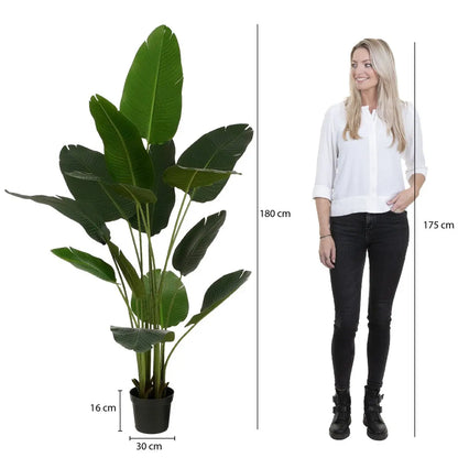 Kunstplant Bananenboom in Pot - H180 x Ø30 cm - Groen | Perrano Mica Decorations