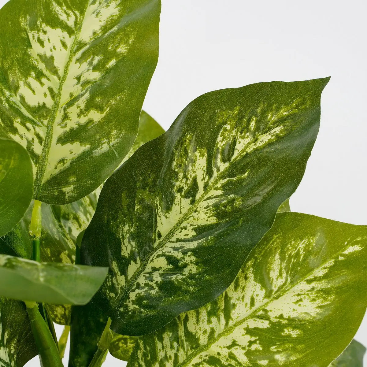 Dieffenbachia Kunstplant in Bloempot Stan - H40 x Ø30 cm | Perrano Mica Decorations