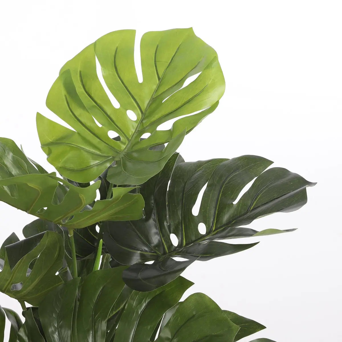 Monstera Kunstplant - H100 x Ø75 cm | Onderhoudsvrij Groene Sfeer | Perrano Mica Decorations