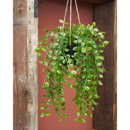 Ficus Kunst Hangplant - H81 cm - Groen | Perrano Mica Decorations