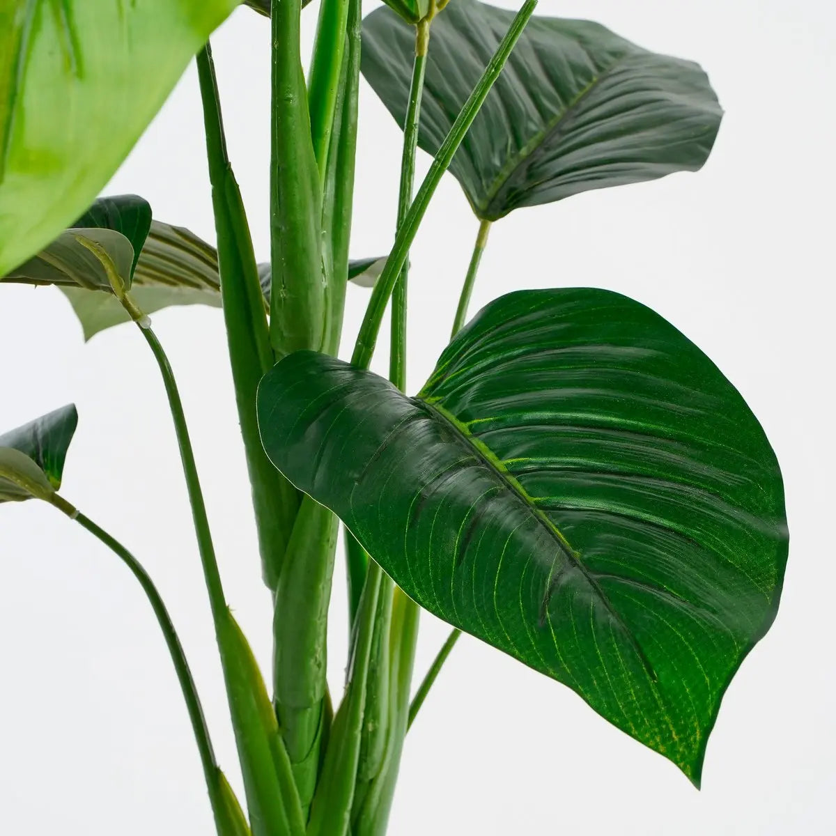 Philodendron Kunstplant - H100x Ø70 cm - Groen | Perrano Mica Decorations