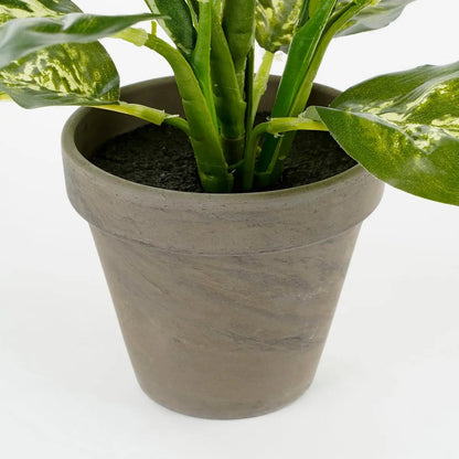 Dieffenbachia Kunstplant in Bloempot Stan - H40 x Ø30 cm | Perrano Mica Decorations