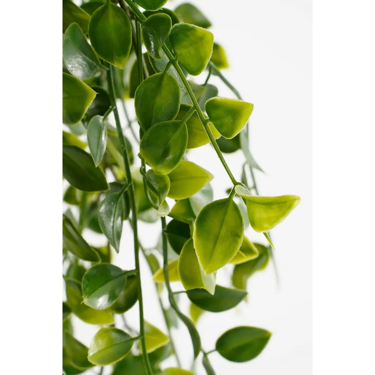 Ficus Kunst Hangplant in Pot - H46 x Ø20 cm - Groen | Perrano Mica Decorations