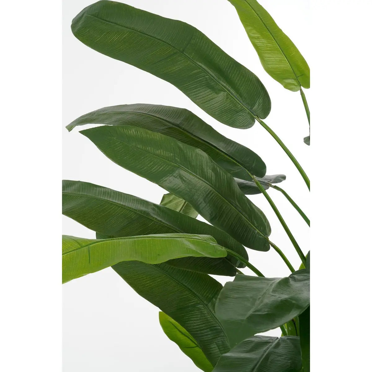 Heliconia Kunstplant - H175 x Ø140 cm - Groen | Perrano Mica Decorations