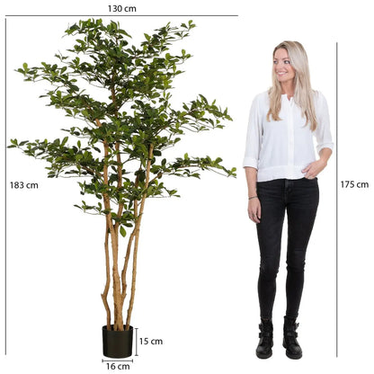 Kunstplant Olijfboom in Pot - H183 x Ø130 cm - Groen | Perrano Mica Decorations