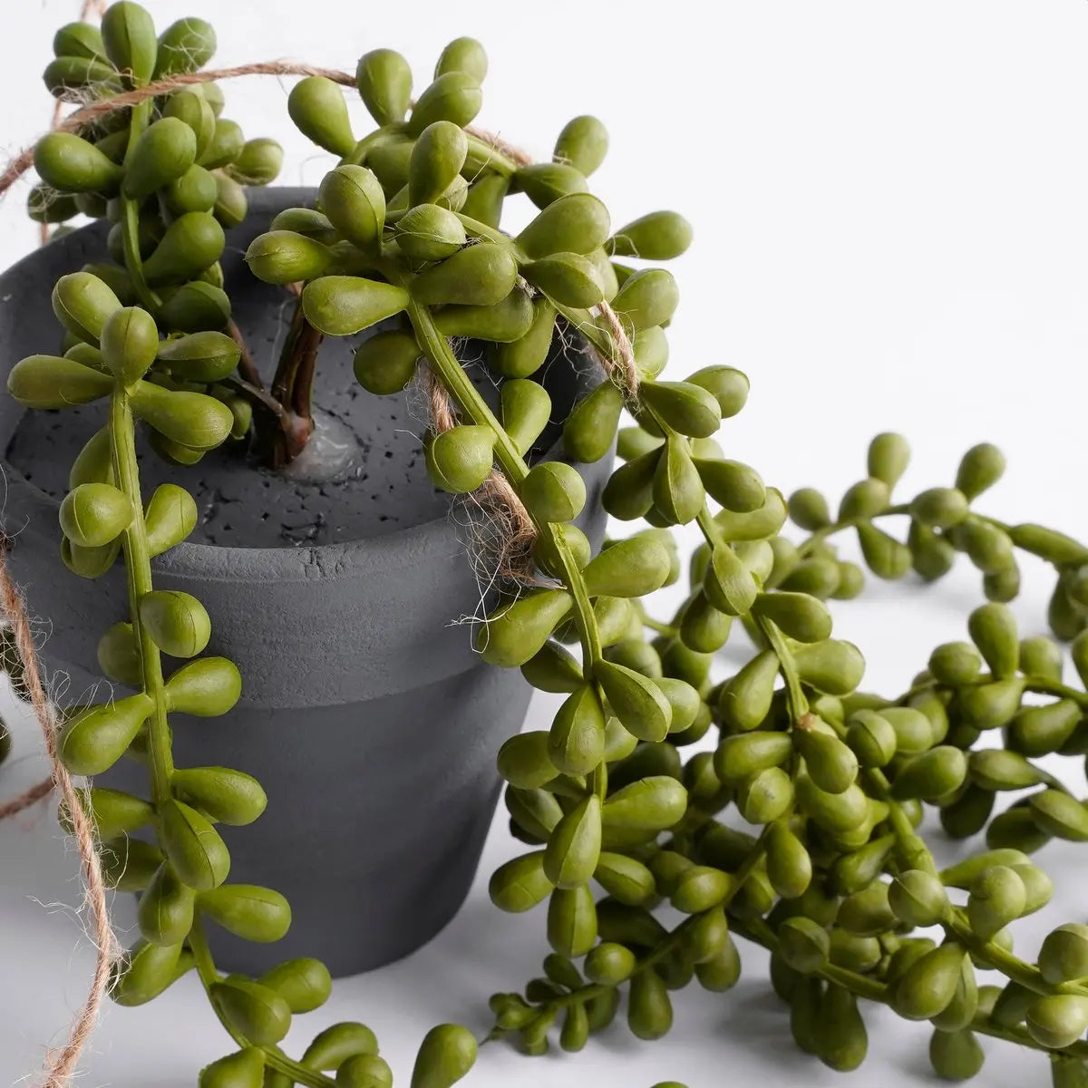 Senecio Kunst Hangplant - H56 x Ø9 cm - Groen | Perrano Mica Decorations