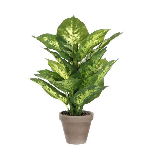 Dieffenbachia Kunstplant in Bloempot Stan - H40 x Ø30 cm | Perrano Mica Decorations